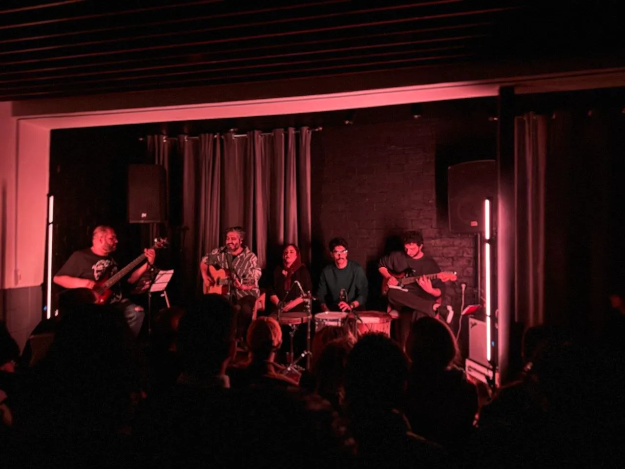 Intimate acoustic ensemble under dusky pink light